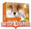 Fauna Polski memory  5902410007738 Adamigo