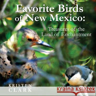 Favorite Birds of New Mexico: Treasures of the Land of Enchantment Kristen Clark 9781536978476 Createspace Independent Publishing Platform - książka