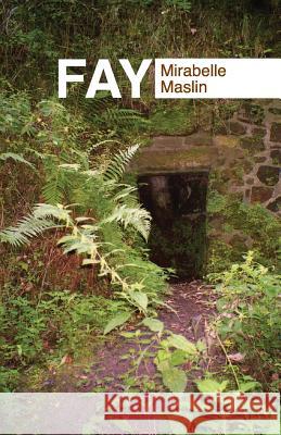 Fay M. Maslin 9780954955137 Augur Press - książka