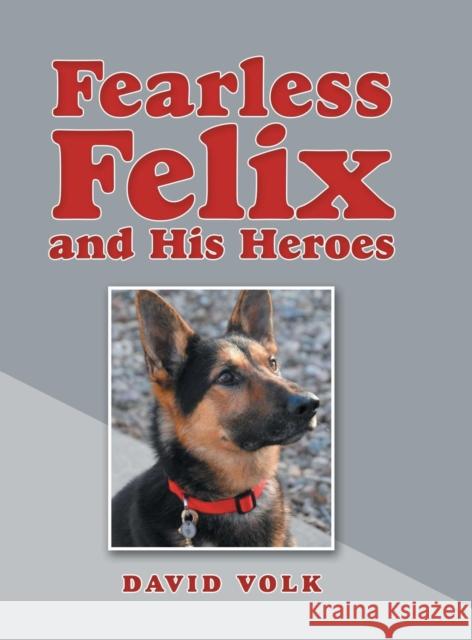 Fearless Felix and His Heroes David Volk 9781480870970 Archway Publishing - książka