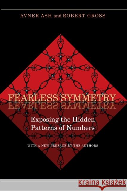 Fearless Symmetry: Exposing the Hidden Patterns of Numbers - New Edition Robert Gross 9780691138718 Princeton University Press - książka