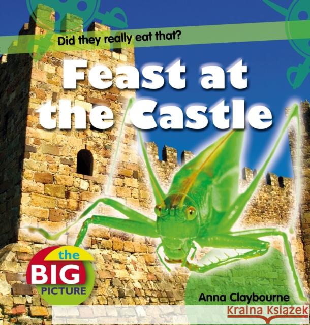 Feast at the Castle Anna Claybourne 9781408131633 Bloomsbury Publishing PLC - książka