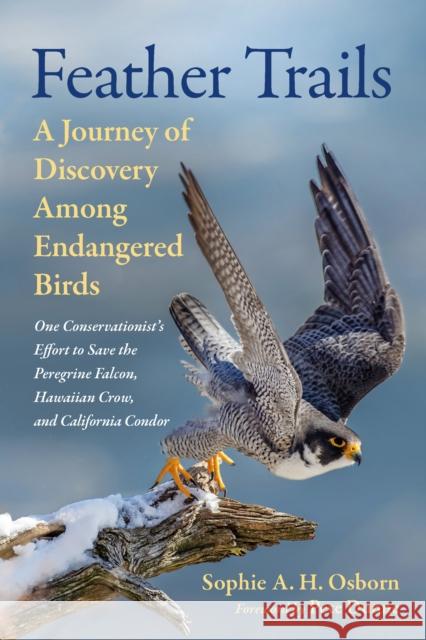 Feather Trails: A Journey of Discovery Among Endangered Birds Sophie A. H. Osborn Pete Dunne 9781645022428 Chelsea Green Publishing Company - książka
