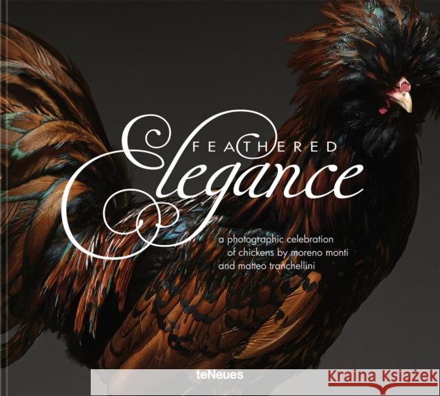 Feathered Elegance: A Photographic Celebration of Chickens Matteo Tranchellini 9783961717422 Te Neues Publishing Company - książka