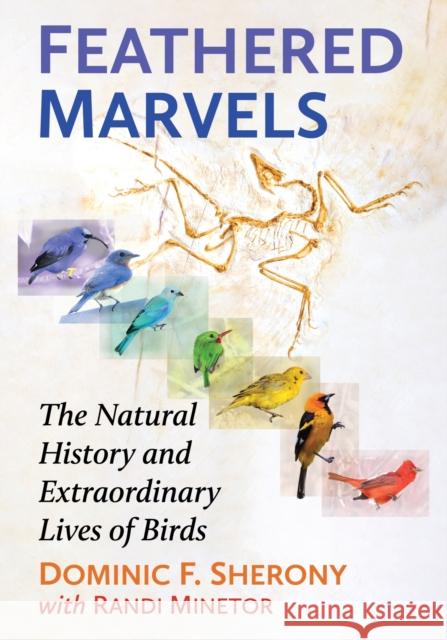 Feathered Marvels: The Natural History and Extraordinary Lives of Birds Randi Minetor 9781476691886 McFarland & Co  Inc - książka