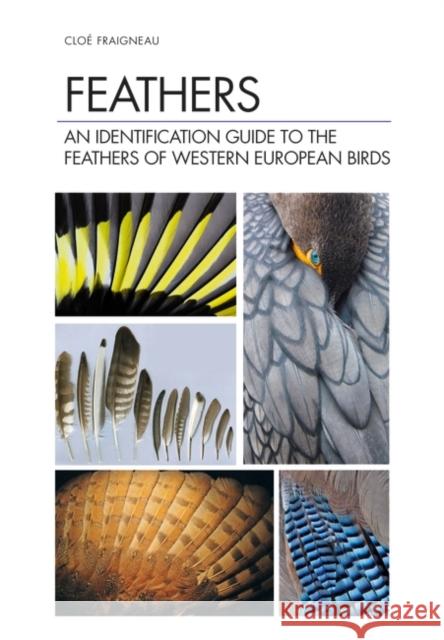 Feathers: An Identification Guide to the Feathers of Western European Birds Clo Fraigneau 9781472971722 Bloomsbury Publishing PLC - książka