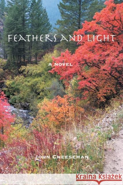 Feathers and Light John Cheeseman 9798885311212 Booklocker.com - książka