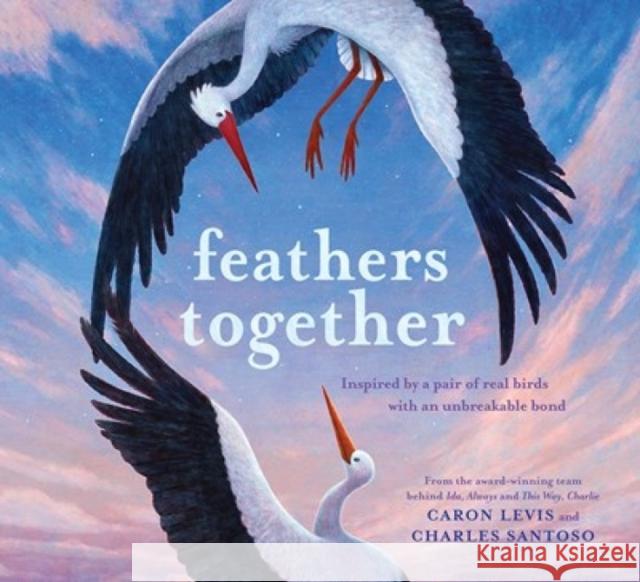 Feathers Together Caron Levis 9781419754586 Abrams - książka