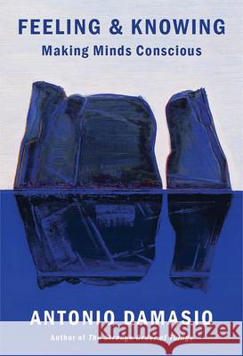 Feeling & Knowing: Making Minds Conscious Antonio Damasio 9780525563075 Vintage - książka