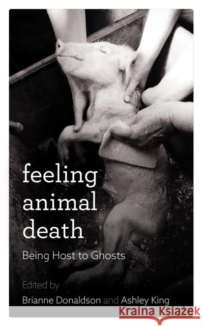 Feeling Animal Death: Being Host to Ghosts Brianne Donaldson Ashley King 9781786611147 Rowman & Littlefield International - książka