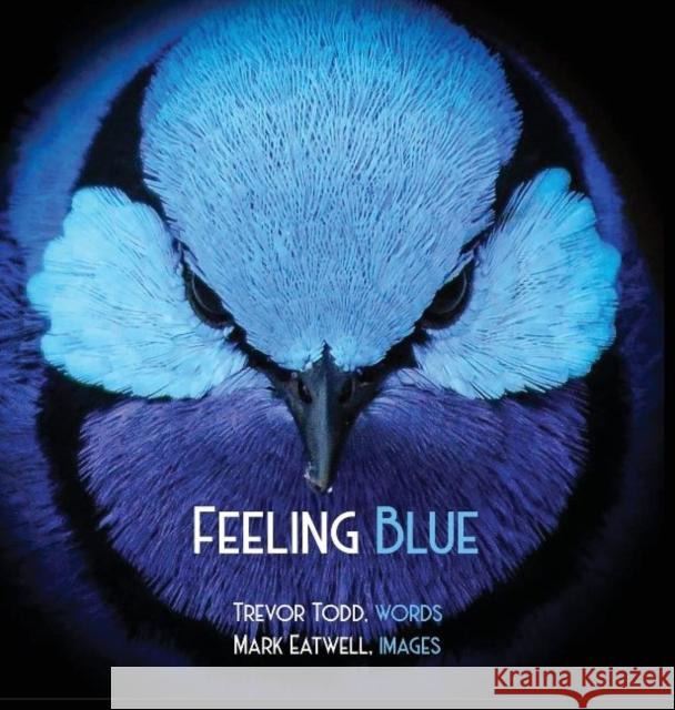 Feeling Blue Trevor Todd 9781922332721 Interactive Publications - książka