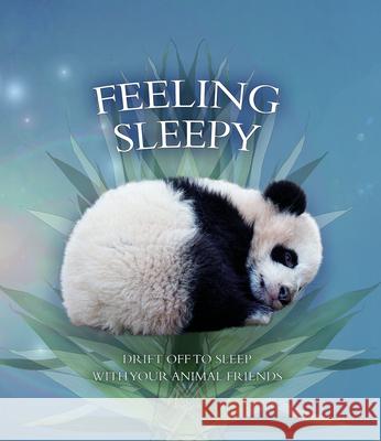 Feeling Sleepy: Drift Off to Sleep with Your Animal Friends Andrea Pinnington Caz Buckingham 9780228103172 Firefly Books - książka