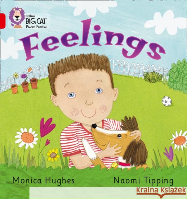 Feelings: Band 02b/Red B Hughes, Monica 9780007235926 HarperCollins Publishers - książka