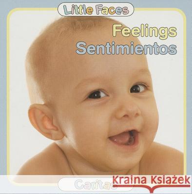 Feelings/Sentimientos Chuck Abate 9780988325302 Not Avail - książka