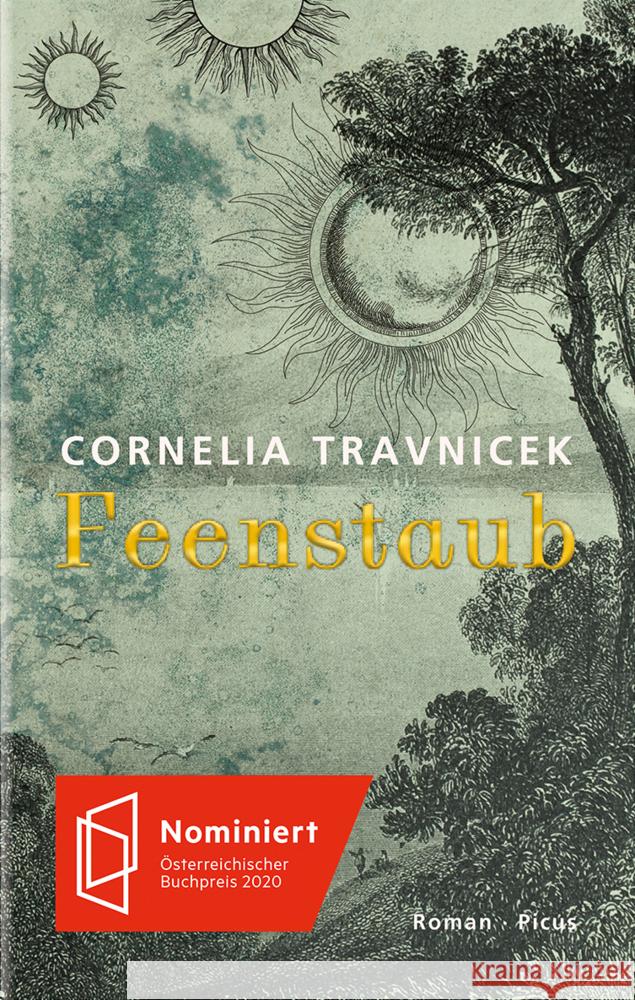Feenstaub : Roman Travnicek, Cornelia 9783711720900 Picus Verlag - książka