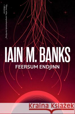 Feersum Endjinn Iain M. Banks 9780316588362 Orbit - książka