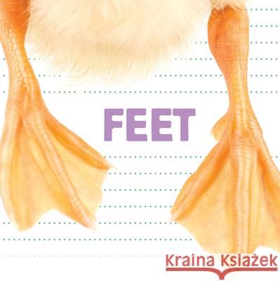 Feet Flowerpot Press 9781486713820 Flowerpot Press - książka