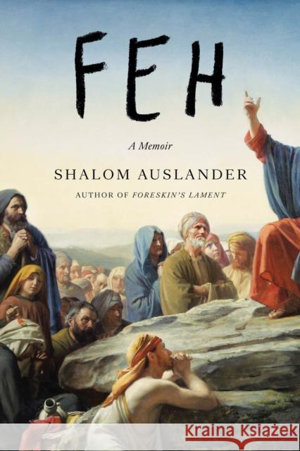 Feh: A Memoir Shalom Auslander 9780735213265 Riverhead Books - książka