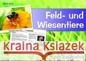 Feld- und Wiesentiere - Fotokarten mit Sachinfos Jung, Heike   9783834604330 Verlag an der Ruhr - książka