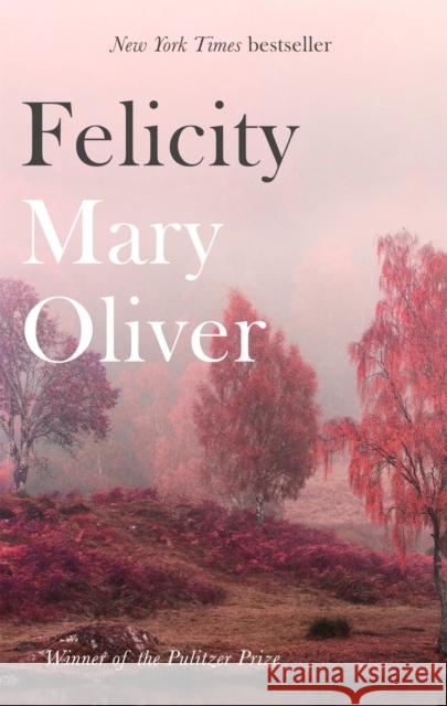 Felicity Oliver, Mary 9781472153739 Little, Brown Book Group - książka