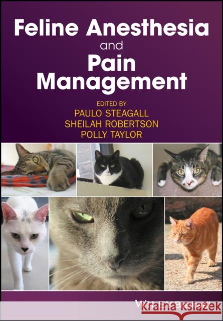 Feline Anesthesia and Pain Management Paulo Steagall Sheilah A. Robertson Polly Taylor 9781119167808 Wiley-Blackwell - książka