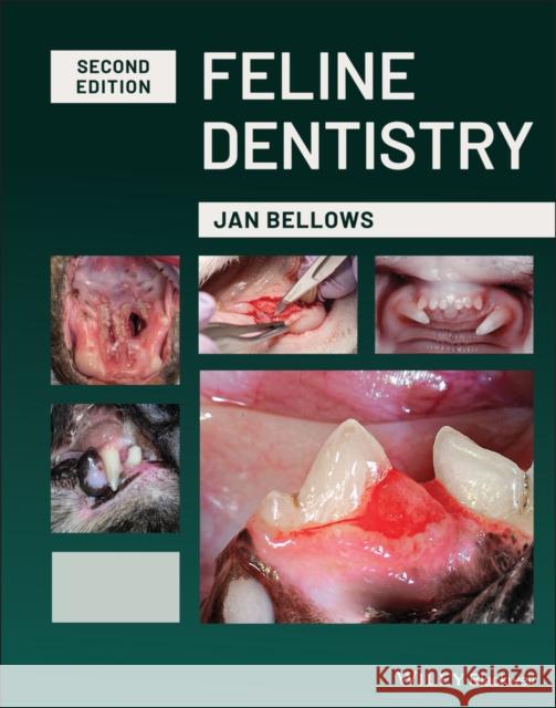 Feline Dentistry Jan Bellows 9781119568018 Wiley-Blackwell - książka