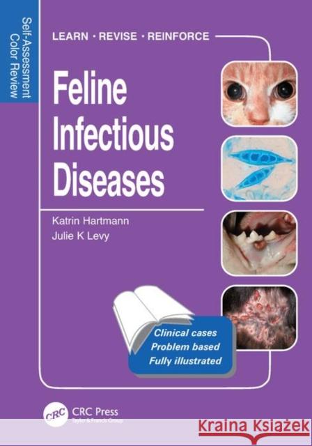 Feline Infectious Diseases : Self-Assessment Color Review Katrin Hartmann Julie Levy 9781840760996 Manson Publishing - książka