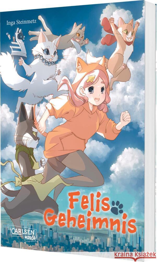Felis Geheimnis Steinmetz, Inga 9783551802163 Carlsen Manga - książka