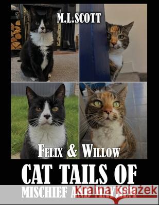 Felix & Willow cat tails of mischief and mayhem M. L. Scott 9788058179947 Finest Book Publishers - książka
