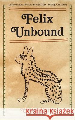Felix Unbound - new edition Cathy Gunn 9781803698298 New Generation Publishing - książka