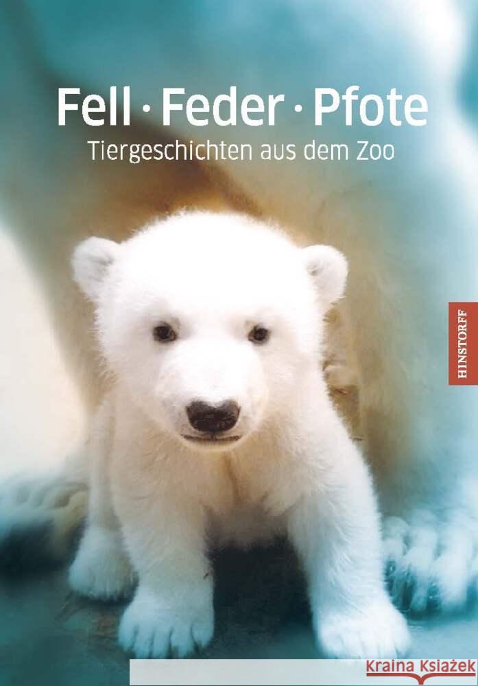 Fell · Feder · Pfote Bluhm, Dörte 9783356024487 Hinstorff - książka