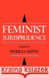 Feminist Jurisprudence Patricia Smith 9780195073973 Oxford University Press