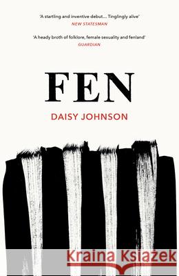 Fen Daisy Johnson 9781784702106 Vintage Publishing - książka