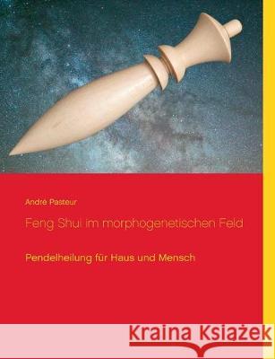 Feng Shui im morphogenetischen Feld: Pendelheilung für Haus und Mensch Pasteur, André 9783751930802 Books on Demand - książka