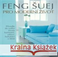 Feng šuej pro moderní život Stephen Skinner 9788072634613 Anag - książka