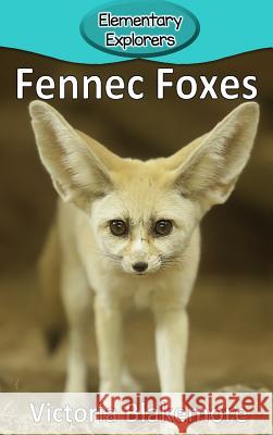 Fennec Foxes Victoria Blakemore 9781948388672 Victoria Blakemore - książka