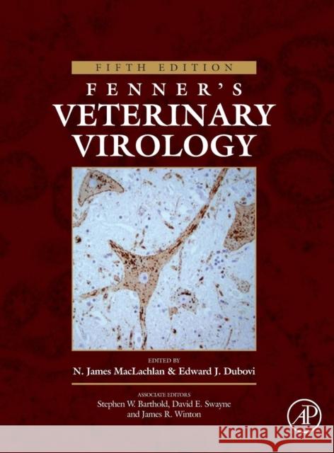 Fenner's Veterinary Virology N. James Maclachlan 9780128009468 ACADEMIC PRESS - książka