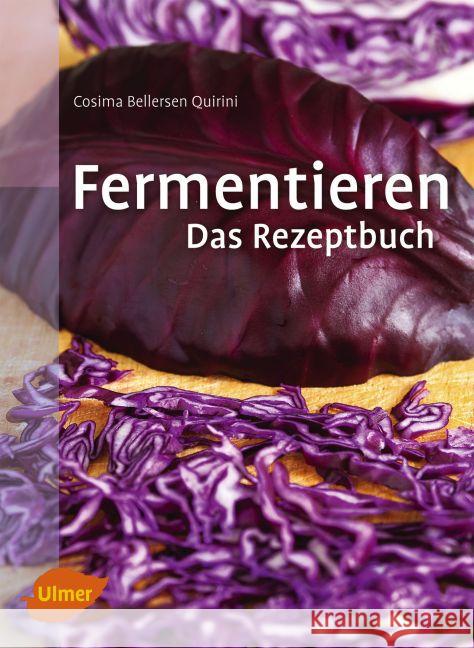 Fermentieren. Das Rezeptbuch Bellersen Quirini, Cosima 9783800182497 Verlag Eugen Ulmer - książka