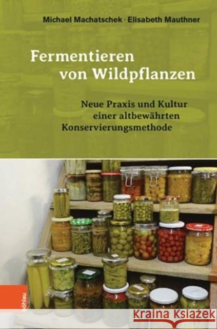 Fermentieren Von Wildpflanzen: Praxis Und Kultur Einer Altbewahrten Konservierungsmethode Machatschek, Michael 9783205231578 Bohlau Verlag - książka