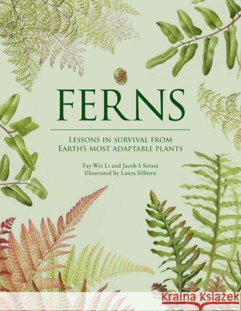 Ferns: Lessons in Survival From Earth’s Most Adaptable Plants Jacob S. Suissa 9781958417850 Hardie Grant North America - książka