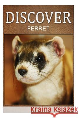 Ferret - Discover: Early reader's wildlife photography book Press, Discover 9781497508057 Createspace - książka