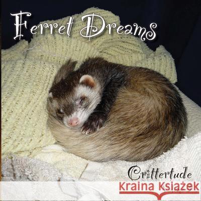 Ferret Dreams: Crittertude David Martin 9780615680743 Crittertude - książka