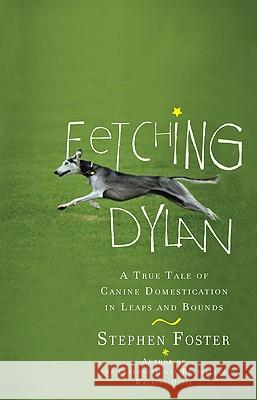 Fetching Dylan: A True Tale of Canine Domestication in Leaps and Bounds Stephen Foster 9780399535116 Perigee Books - książka