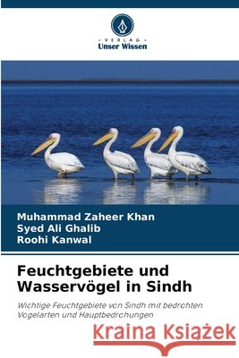 Feuchtgebiete und Wasservögel in Sindh Khan, Muhammad Zaheer, Ghalib, Syed Ali, Kanwal, Roohi 9786208696481 Verlag Unser Wissen - książka