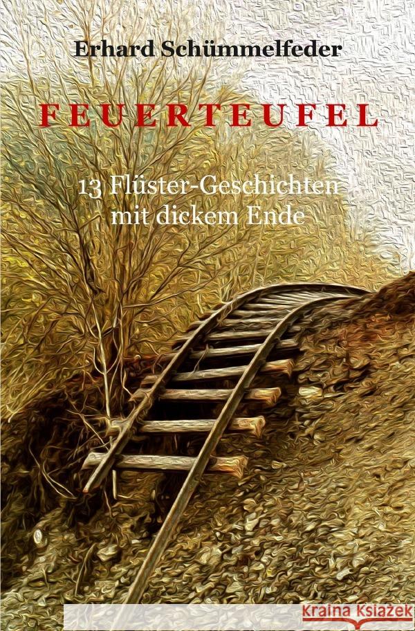 Feuerteufel Schümmelfeder, Erhard 9783756530526 epubli - książka