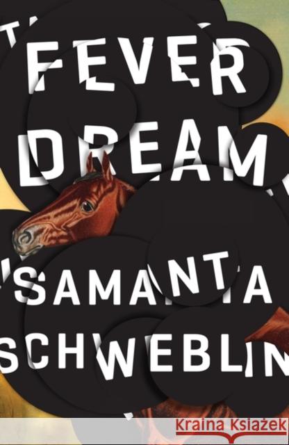 Fever Dream: SHORTLISTED FOR THE BOOKER INTERNATIONAL PRIZE 2017 Samanta Schweblin 9781786072382 Oneworld Publications - książka