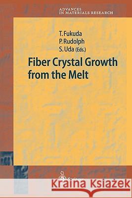 Fiber Crystal Growth from the Melt Tsuguo Fukuda Peter Rudolph Satoshi Uda 9783642073649 Not Avail - książka