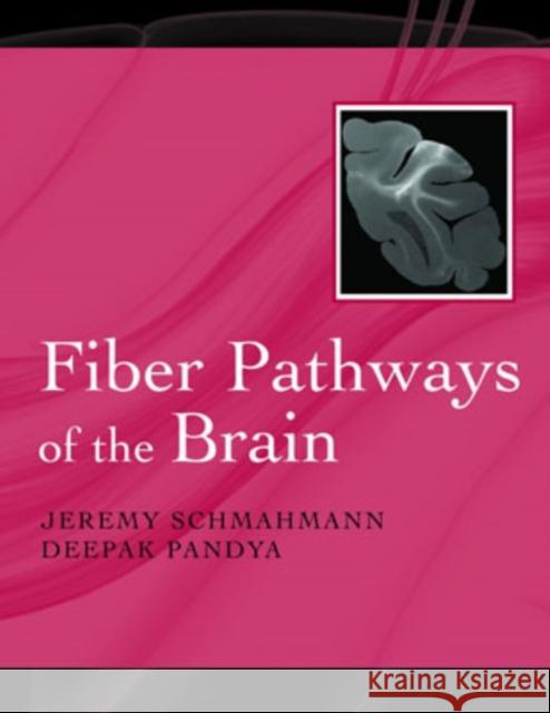 Fiber Pathways of the Brain Jeremy D. Schmahmann Deepak N. Pandya 9780195104233 Oxford University Press - książka