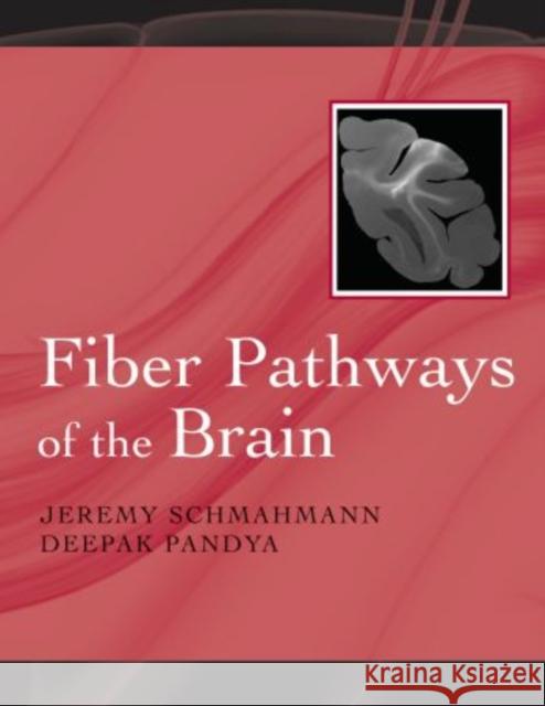 Fiber Pathways of the Brain  9780195388268 Oxford University Press, USA - książka