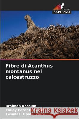 Fibre di Acanthus montanus nel calcestruzzo Kassum, Braimah, Paa-Kofi, Yalley Peter, Ware, Twumasi Opoku 9786208703103 Edizioni Sapienza - książka